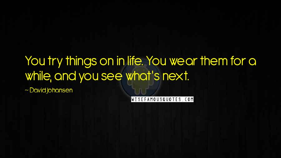 David Johansen Quotes: You try things on in life. You wear them for a while, and you see what's next.