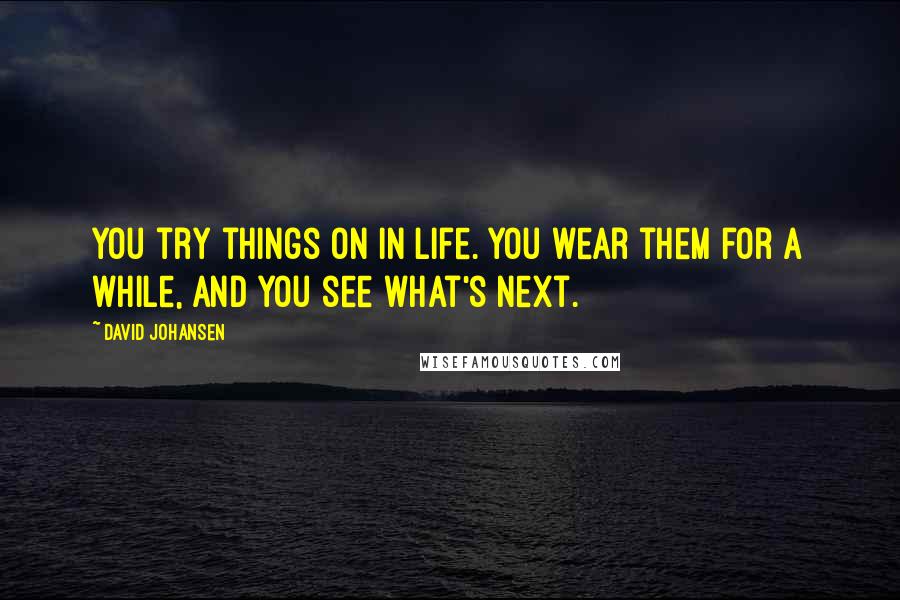 David Johansen Quotes: You try things on in life. You wear them for a while, and you see what's next.