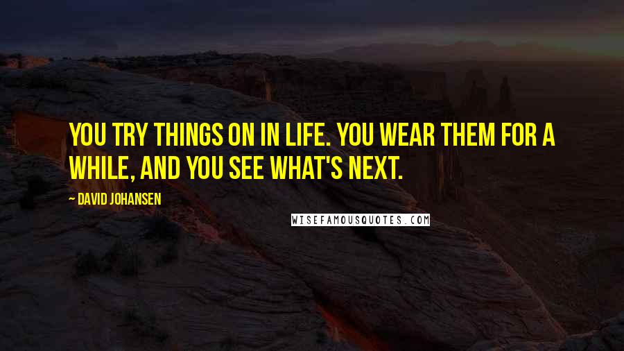 David Johansen Quotes: You try things on in life. You wear them for a while, and you see what's next.