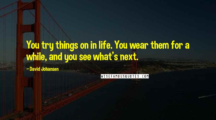 David Johansen Quotes: You try things on in life. You wear them for a while, and you see what's next.