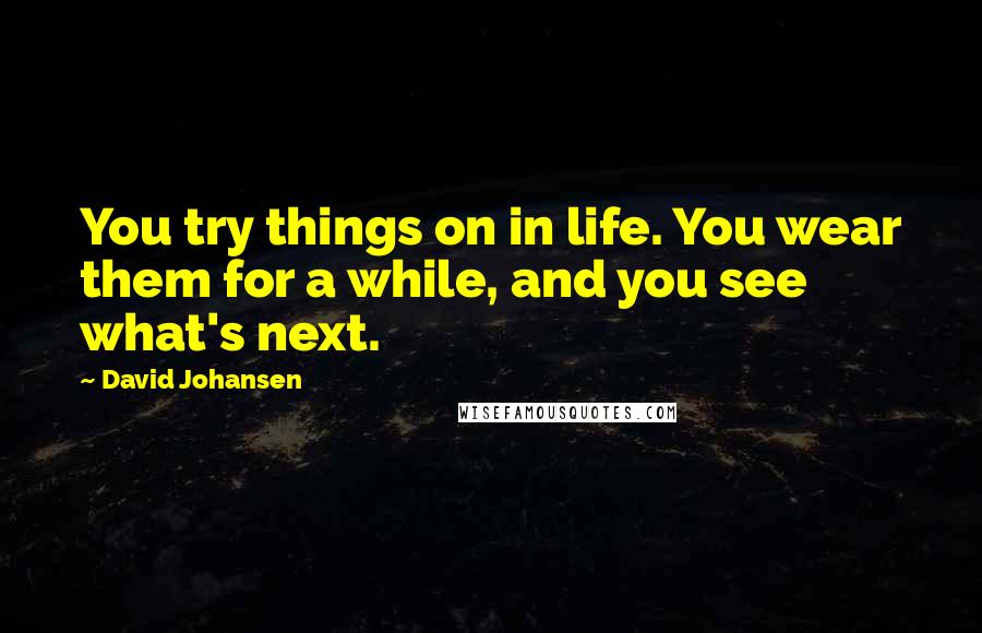 David Johansen Quotes: You try things on in life. You wear them for a while, and you see what's next.