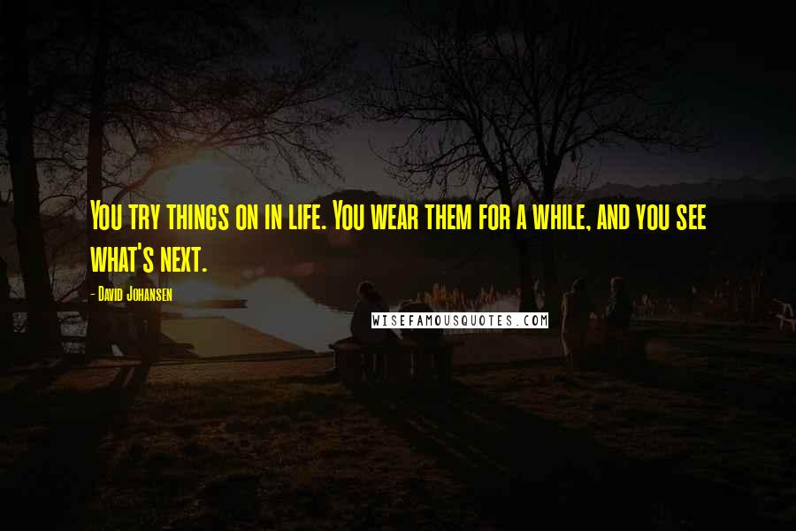 David Johansen Quotes: You try things on in life. You wear them for a while, and you see what's next.