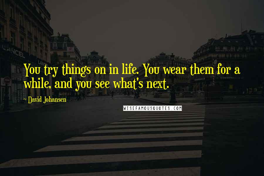 David Johansen Quotes: You try things on in life. You wear them for a while, and you see what's next.