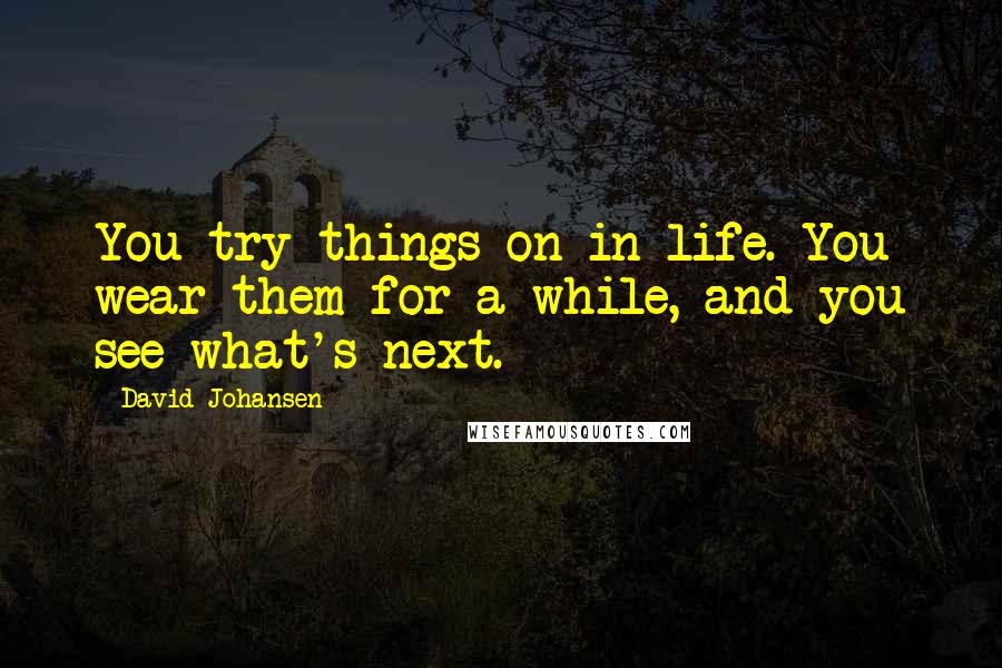 David Johansen Quotes: You try things on in life. You wear them for a while, and you see what's next.