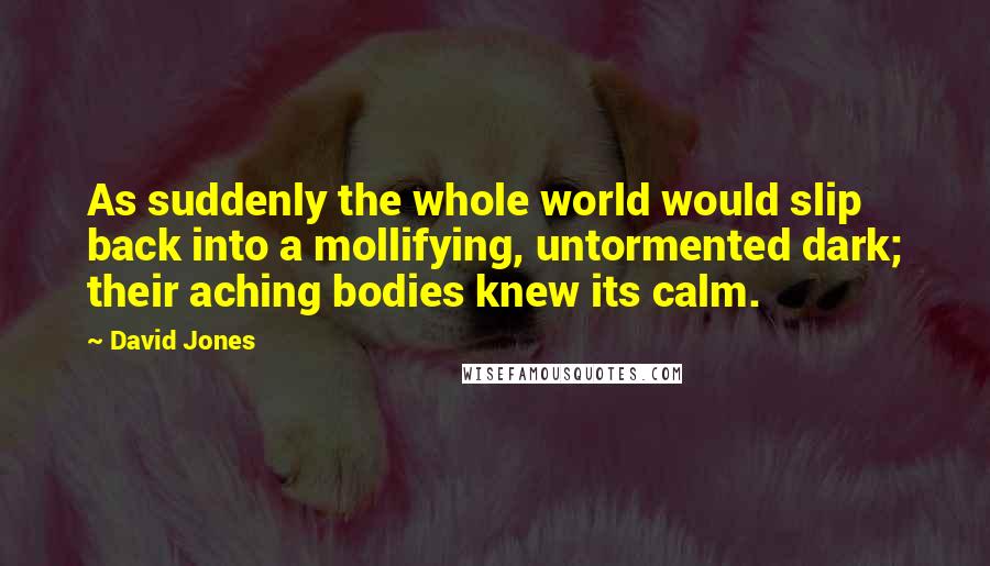 David Jones Quotes: As suddenly the whole world would slip back into a mollifying, untormented dark; their aching bodies knew its calm.