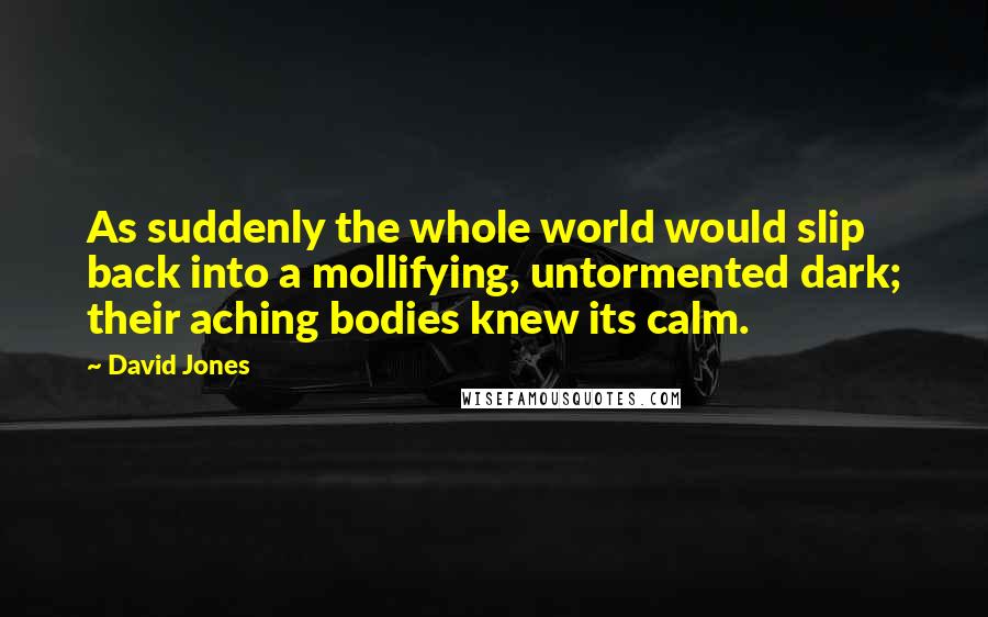 David Jones Quotes: As suddenly the whole world would slip back into a mollifying, untormented dark; their aching bodies knew its calm.