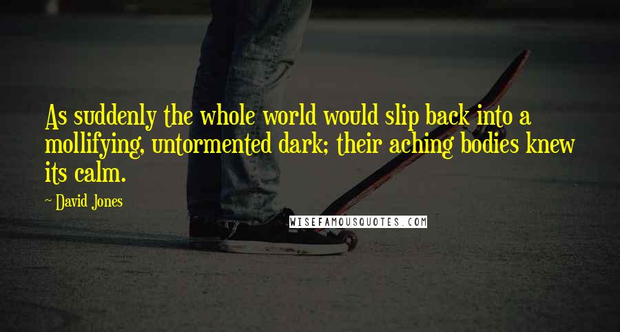 David Jones Quotes: As suddenly the whole world would slip back into a mollifying, untormented dark; their aching bodies knew its calm.