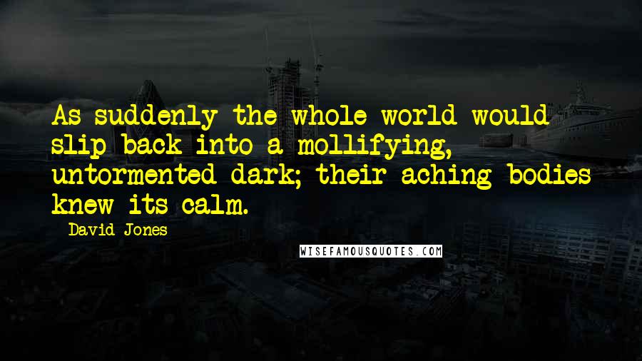 David Jones Quotes: As suddenly the whole world would slip back into a mollifying, untormented dark; their aching bodies knew its calm.