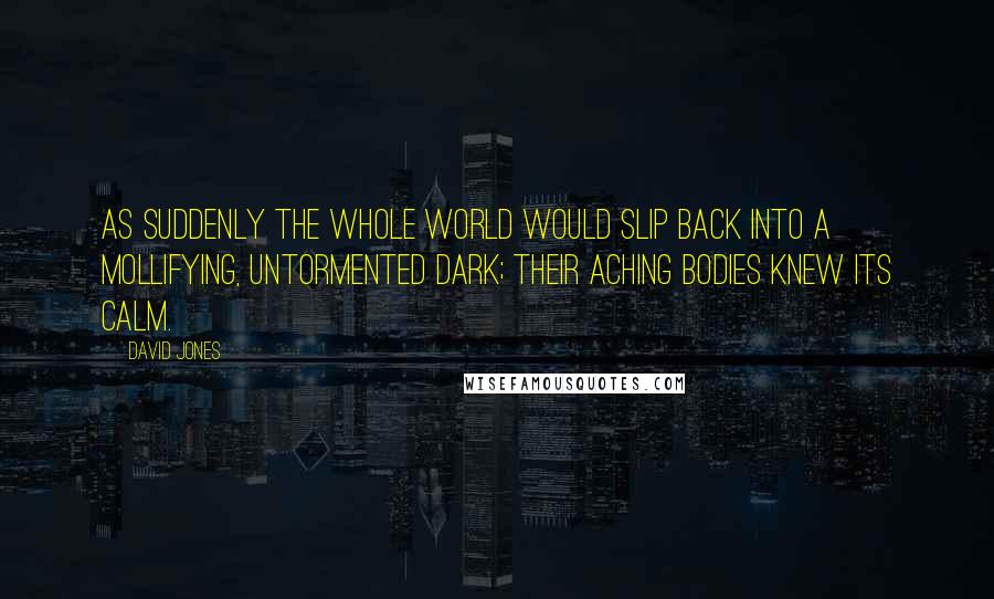 David Jones Quotes: As suddenly the whole world would slip back into a mollifying, untormented dark; their aching bodies knew its calm.