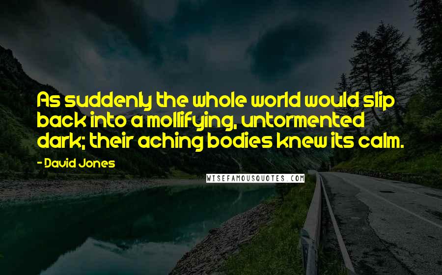 David Jones Quotes: As suddenly the whole world would slip back into a mollifying, untormented dark; their aching bodies knew its calm.