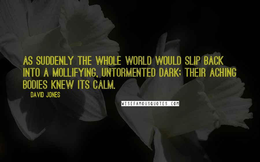 David Jones Quotes: As suddenly the whole world would slip back into a mollifying, untormented dark; their aching bodies knew its calm.