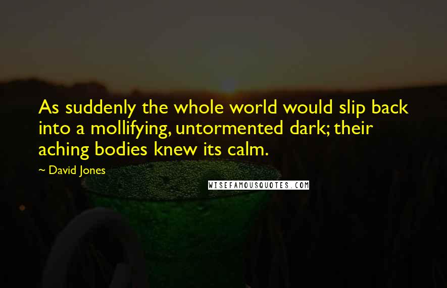 David Jones Quotes: As suddenly the whole world would slip back into a mollifying, untormented dark; their aching bodies knew its calm.