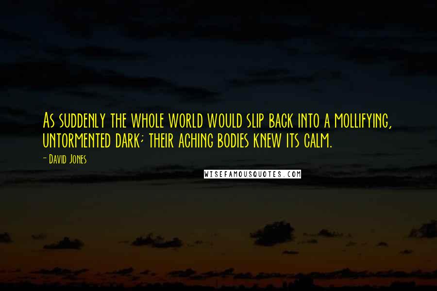 David Jones Quotes: As suddenly the whole world would slip back into a mollifying, untormented dark; their aching bodies knew its calm.