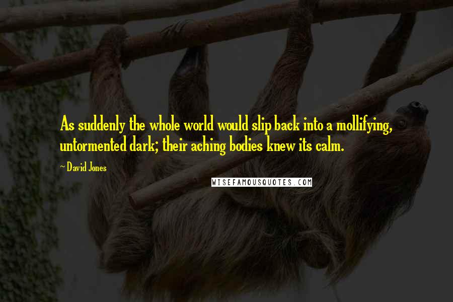 David Jones Quotes: As suddenly the whole world would slip back into a mollifying, untormented dark; their aching bodies knew its calm.