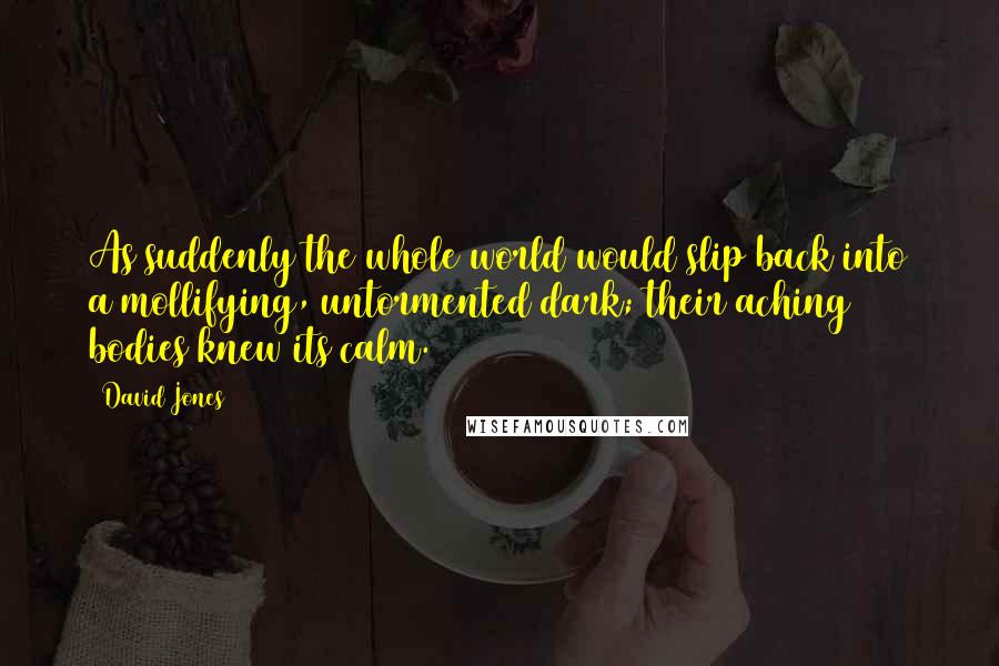 David Jones Quotes: As suddenly the whole world would slip back into a mollifying, untormented dark; their aching bodies knew its calm.