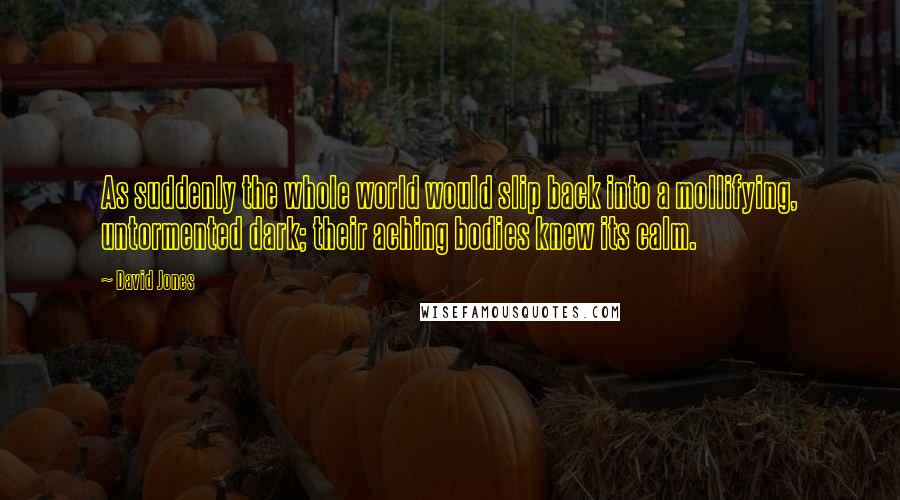 David Jones Quotes: As suddenly the whole world would slip back into a mollifying, untormented dark; their aching bodies knew its calm.