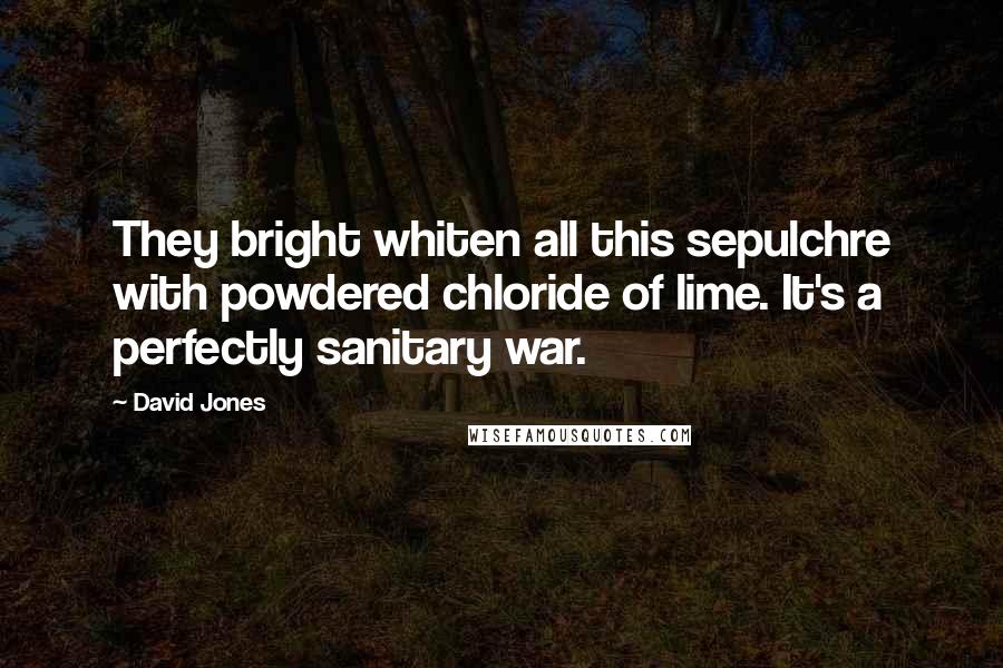 David Jones Quotes: They bright whiten all this sepulchre with powdered chloride of lime. It's a perfectly sanitary war.