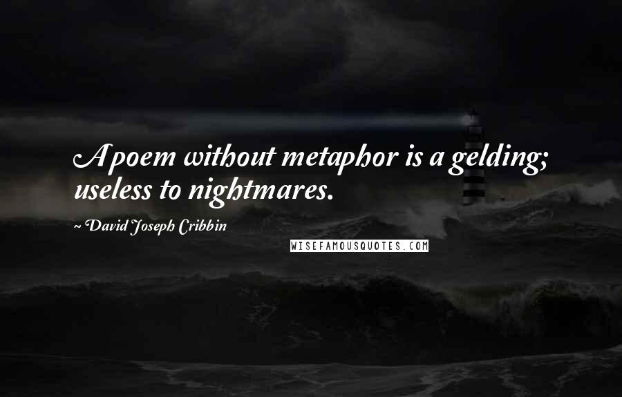 David Joseph Cribbin Quotes: A poem without metaphor is a gelding; useless to nightmares.