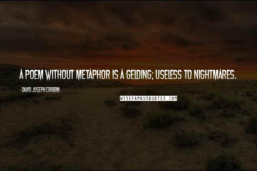 David Joseph Cribbin Quotes: A poem without metaphor is a gelding; useless to nightmares.