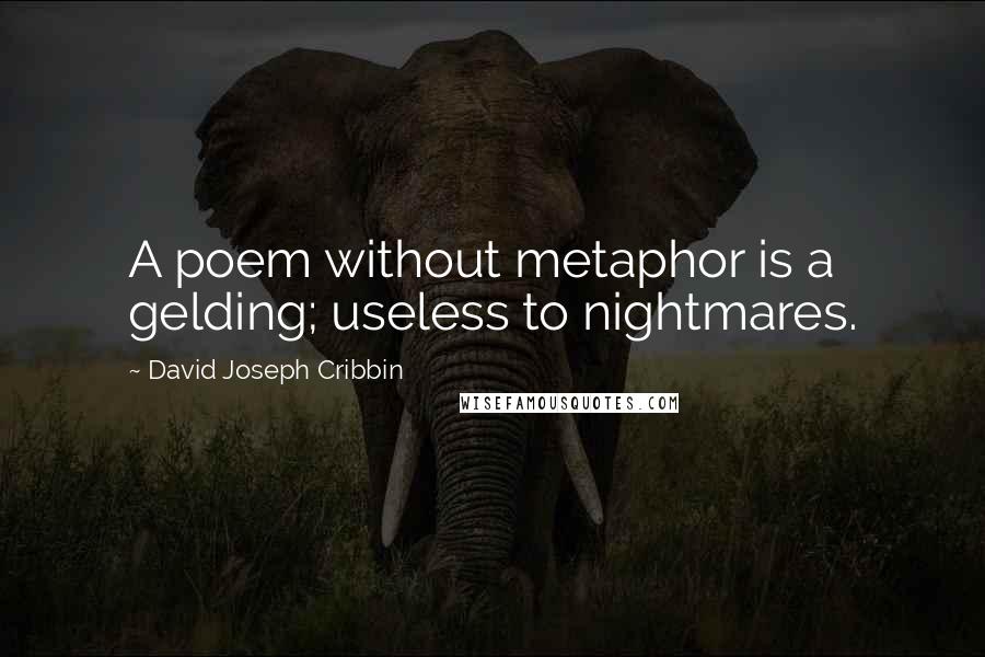 David Joseph Cribbin Quotes: A poem without metaphor is a gelding; useless to nightmares.