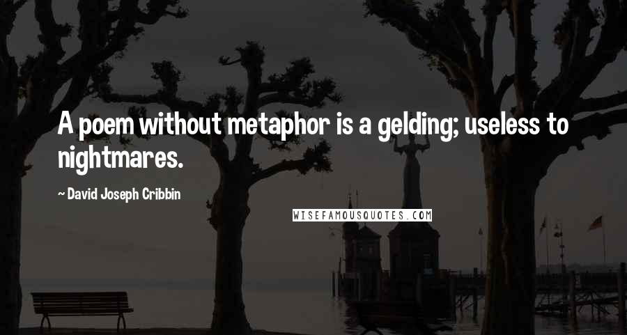 David Joseph Cribbin Quotes: A poem without metaphor is a gelding; useless to nightmares.