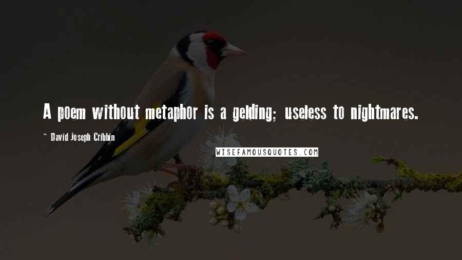 David Joseph Cribbin Quotes: A poem without metaphor is a gelding; useless to nightmares.