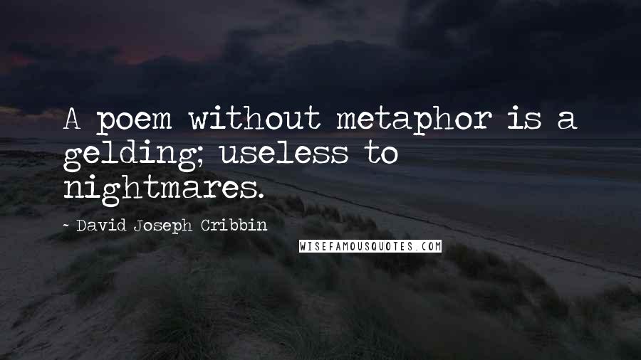 David Joseph Cribbin Quotes: A poem without metaphor is a gelding; useless to nightmares.