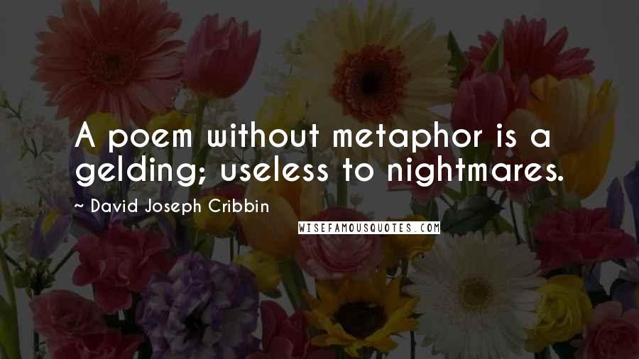 David Joseph Cribbin Quotes: A poem without metaphor is a gelding; useless to nightmares.