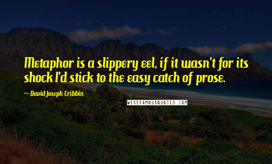 David Joseph Cribbin Quotes: Metaphor is a slippery eel, if it wasn't for its shock I'd stick to the easy catch of prose.