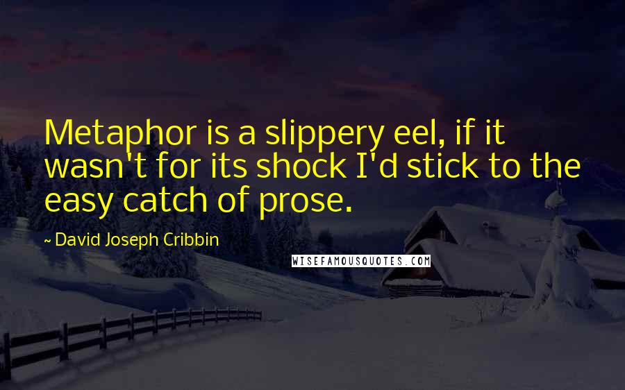 David Joseph Cribbin Quotes: Metaphor is a slippery eel, if it wasn't for its shock I'd stick to the easy catch of prose.