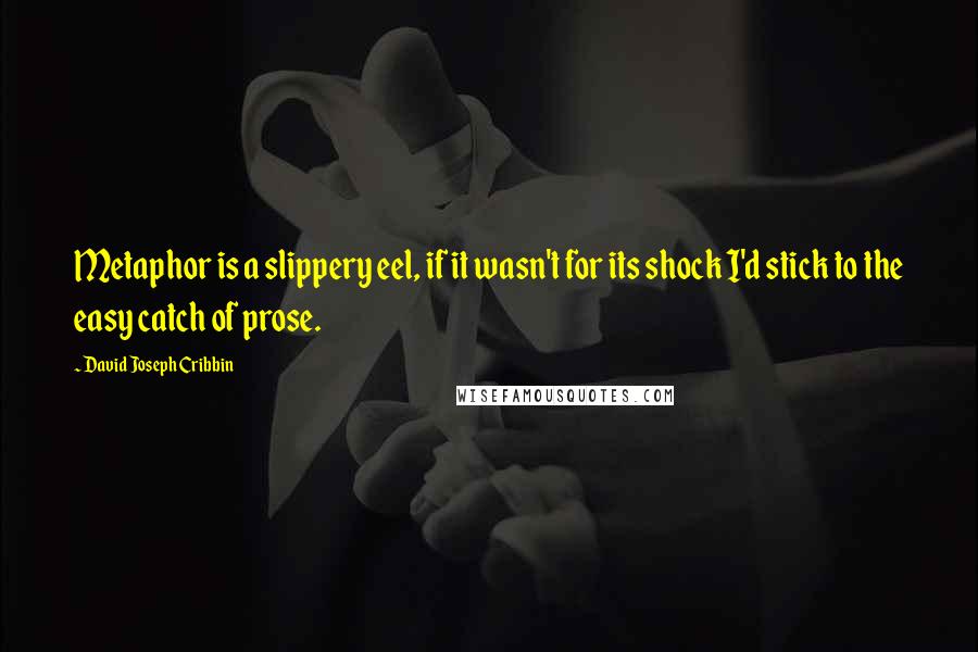 David Joseph Cribbin Quotes: Metaphor is a slippery eel, if it wasn't for its shock I'd stick to the easy catch of prose.