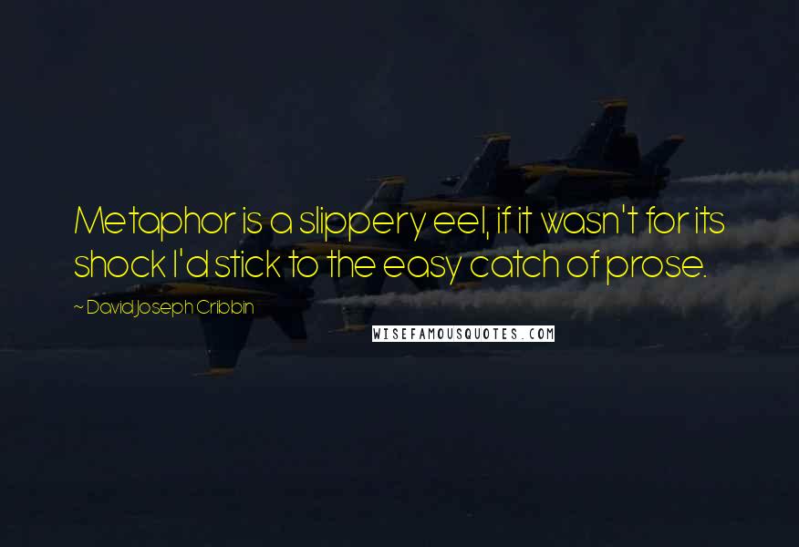 David Joseph Cribbin Quotes: Metaphor is a slippery eel, if it wasn't for its shock I'd stick to the easy catch of prose.