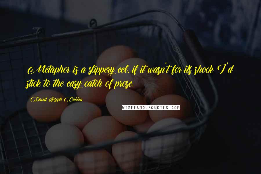 David Joseph Cribbin Quotes: Metaphor is a slippery eel, if it wasn't for its shock I'd stick to the easy catch of prose.