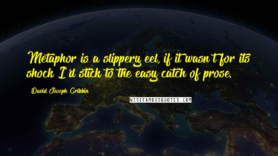 David Joseph Cribbin Quotes: Metaphor is a slippery eel, if it wasn't for its shock I'd stick to the easy catch of prose.