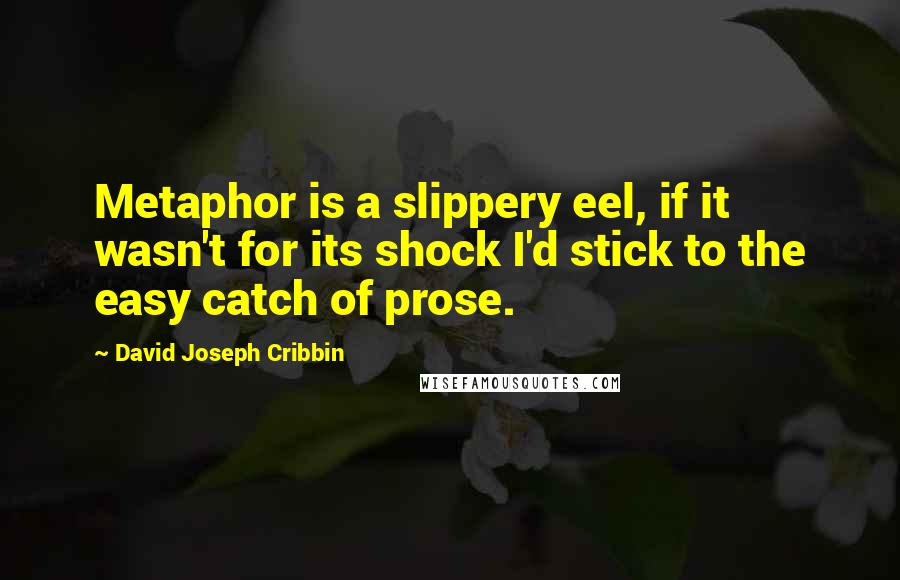 David Joseph Cribbin Quotes: Metaphor is a slippery eel, if it wasn't for its shock I'd stick to the easy catch of prose.