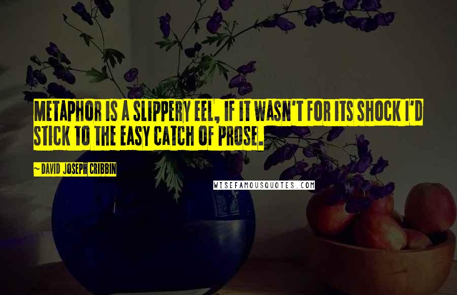 David Joseph Cribbin Quotes: Metaphor is a slippery eel, if it wasn't for its shock I'd stick to the easy catch of prose.