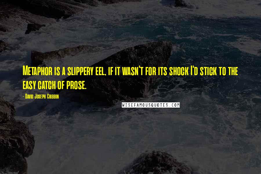 David Joseph Cribbin Quotes: Metaphor is a slippery eel, if it wasn't for its shock I'd stick to the easy catch of prose.