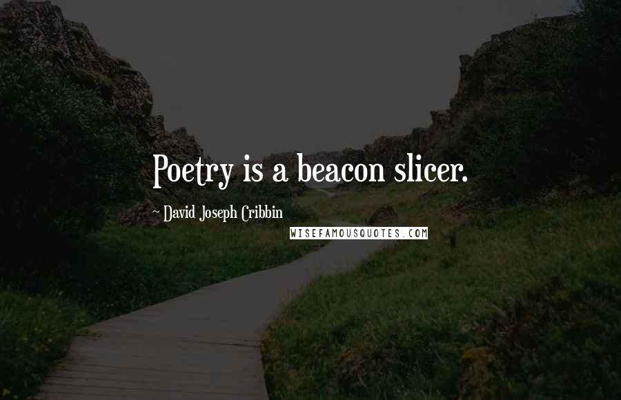 David Joseph Cribbin Quotes: Poetry is a beacon slicer.