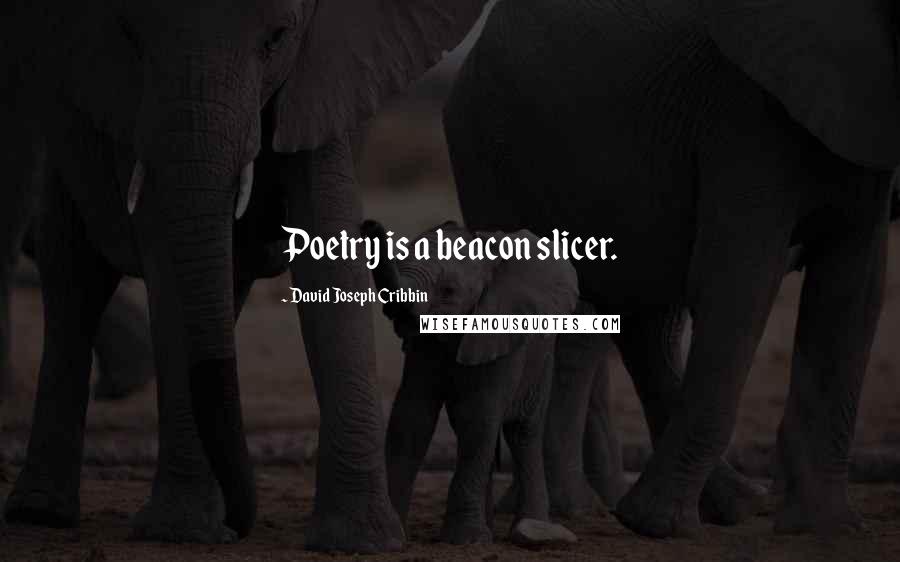 David Joseph Cribbin Quotes: Poetry is a beacon slicer.