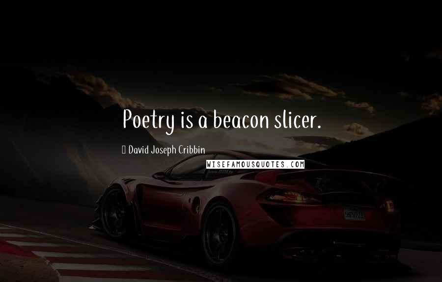 David Joseph Cribbin Quotes: Poetry is a beacon slicer.