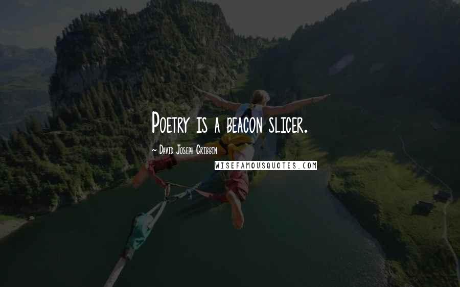 David Joseph Cribbin Quotes: Poetry is a beacon slicer.