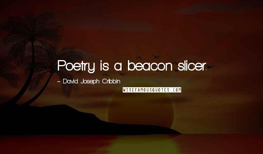 David Joseph Cribbin Quotes: Poetry is a beacon slicer.