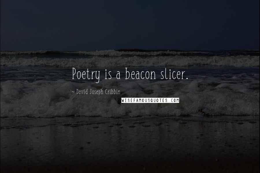 David Joseph Cribbin Quotes: Poetry is a beacon slicer.
