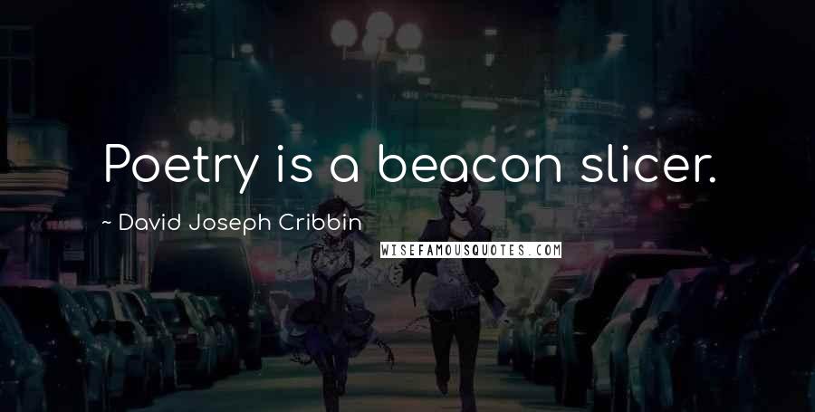 David Joseph Cribbin Quotes: Poetry is a beacon slicer.