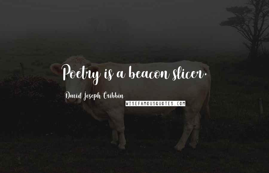 David Joseph Cribbin Quotes: Poetry is a beacon slicer.