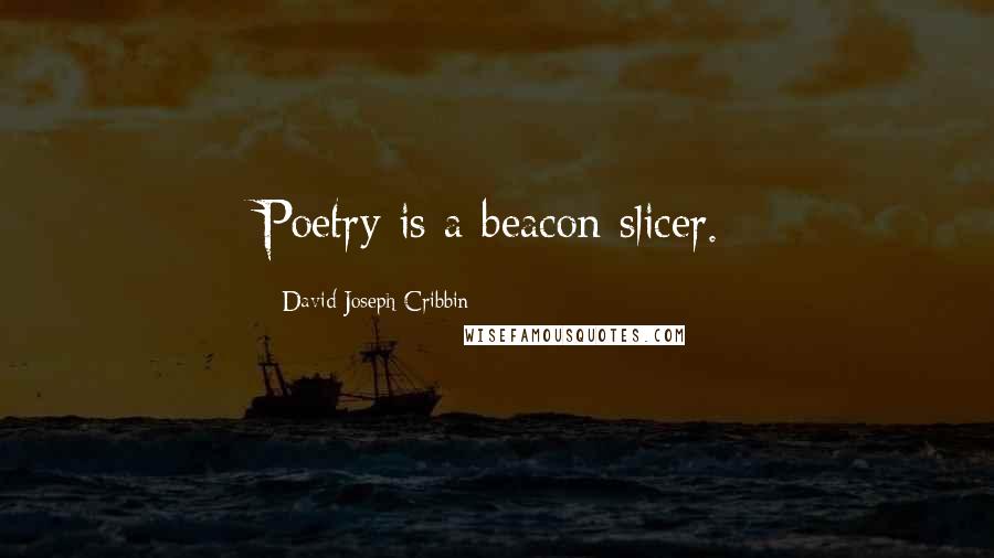 David Joseph Cribbin Quotes: Poetry is a beacon slicer.