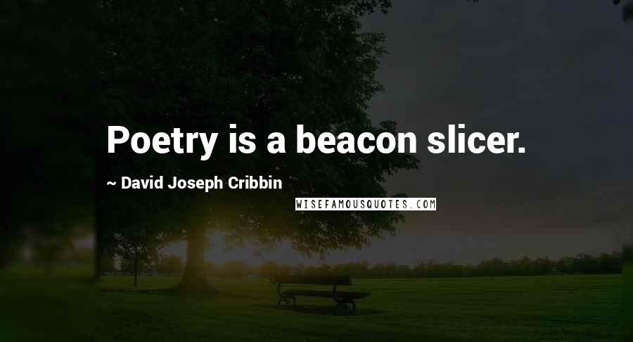 David Joseph Cribbin Quotes: Poetry is a beacon slicer.