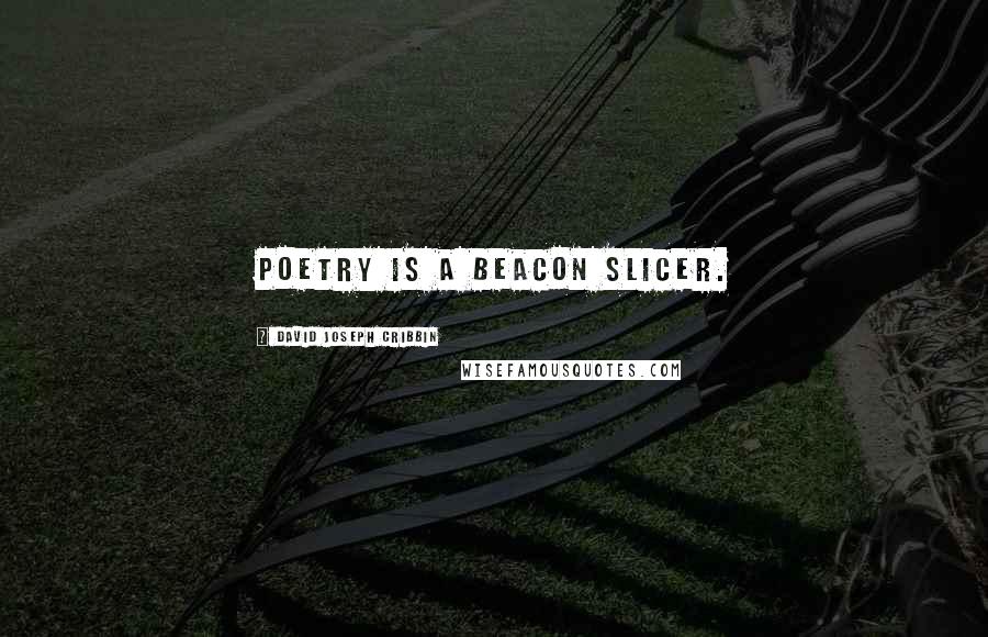 David Joseph Cribbin Quotes: Poetry is a beacon slicer.