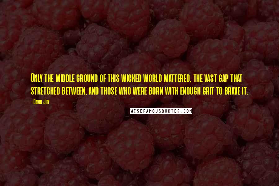 David Joy Quotes: Only the middle ground of this wicked world mattered, the vast gap that stretched between, and those who were born with enough grit to brave it.