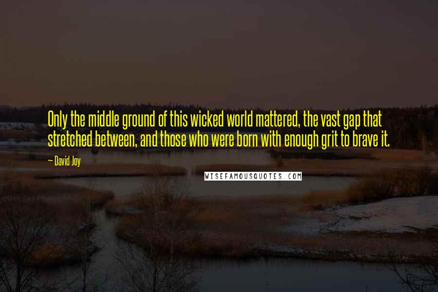 David Joy Quotes: Only the middle ground of this wicked world mattered, the vast gap that stretched between, and those who were born with enough grit to brave it.